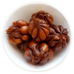 سیر ترشی